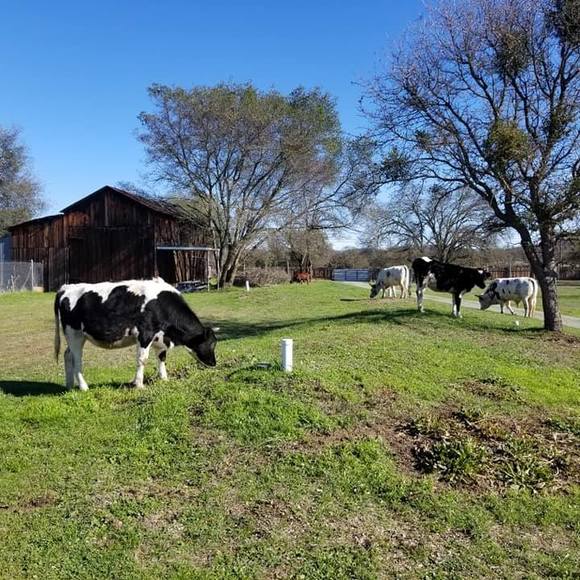 Meet your Posher, John - Picture 1 of 1